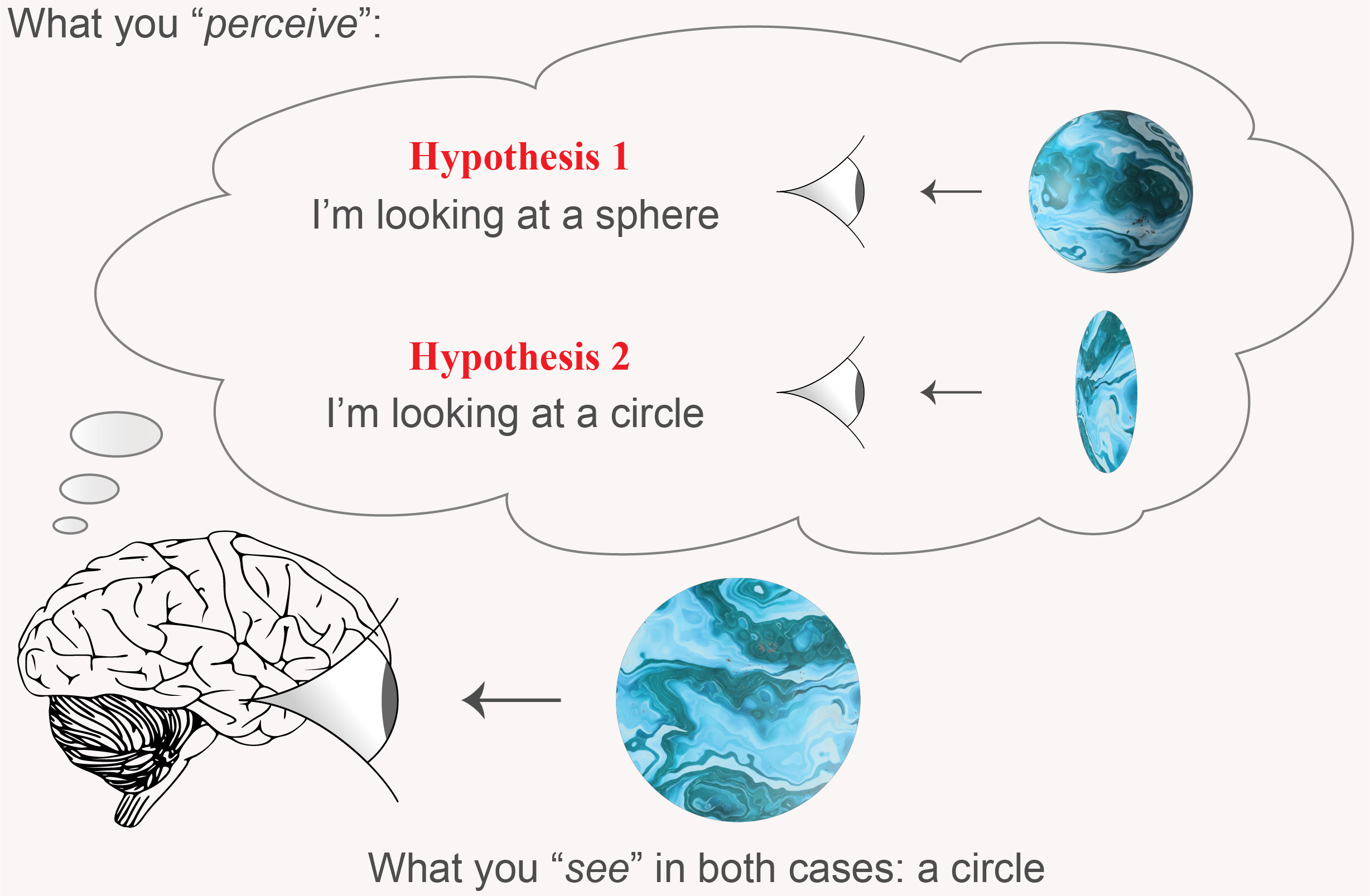Perceiving a 3D world from its 2D projections